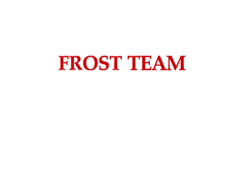 FROST TEAM s.r.o.