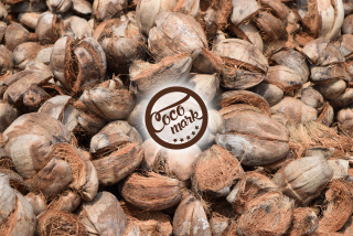 Zpracování slupek kokosových ořechů