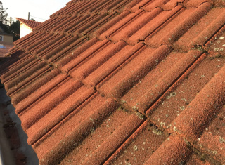 Před a po čištění střechy - detail