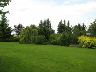 Zahrada Loučany