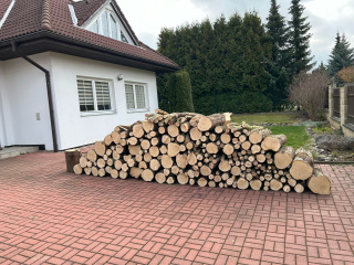 dřevo po kácení